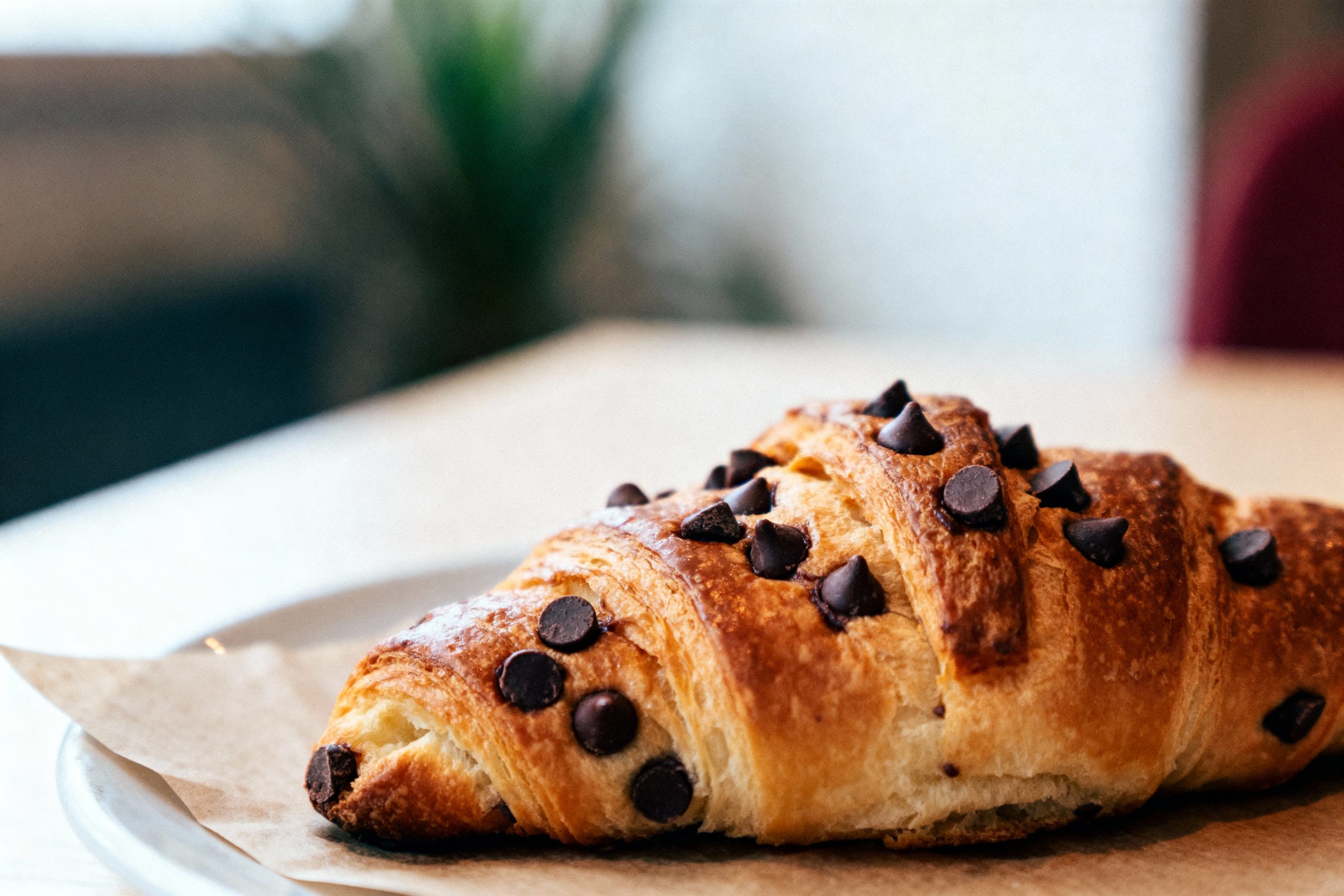 viennois au chocolat